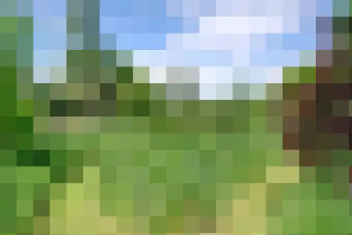 Bolmeer 8 Zevenhuizen thumbnail 40