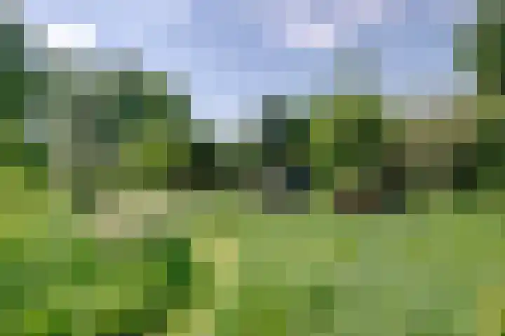 Bolmeer 8 Zevenhuizen thumbnail 41