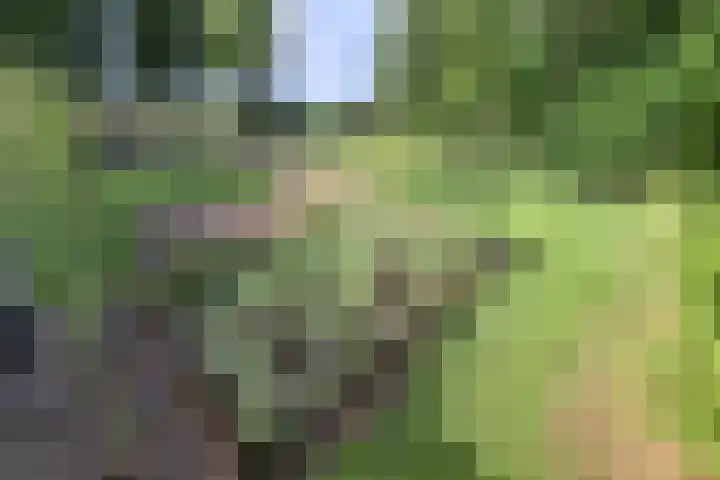 Bolmeer 8 Zevenhuizen thumbnail 42