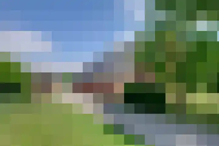 Bolmeer 8 Zevenhuizen thumbnail 43