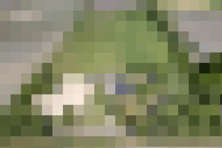 Bolmeer 8 Zevenhuizen thumbnail 46