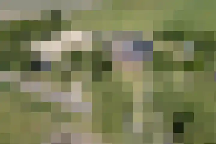 Bolmeer 8 Zevenhuizen thumbnail 5