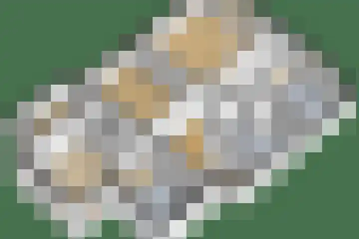 Bolmeer 8 Zevenhuizen thumbnail 50