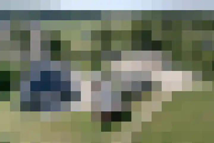 Bolmeer 8 Zevenhuizen thumbnail 6