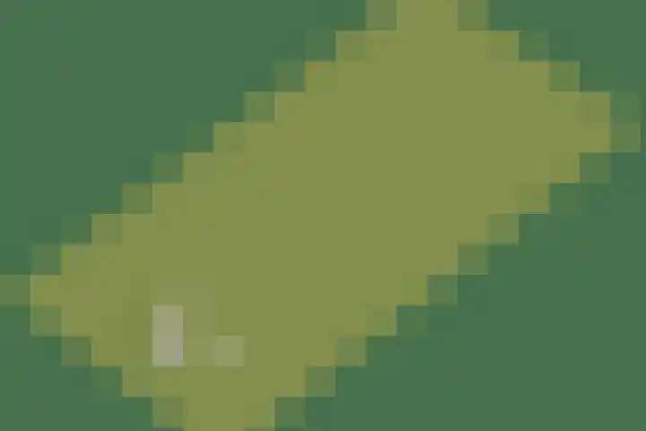 Bolmeer 8 Zevenhuizen thumbnail 60