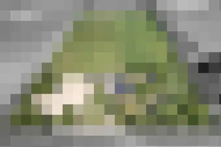Bolmeer 8 Zevenhuizen thumbnail 61