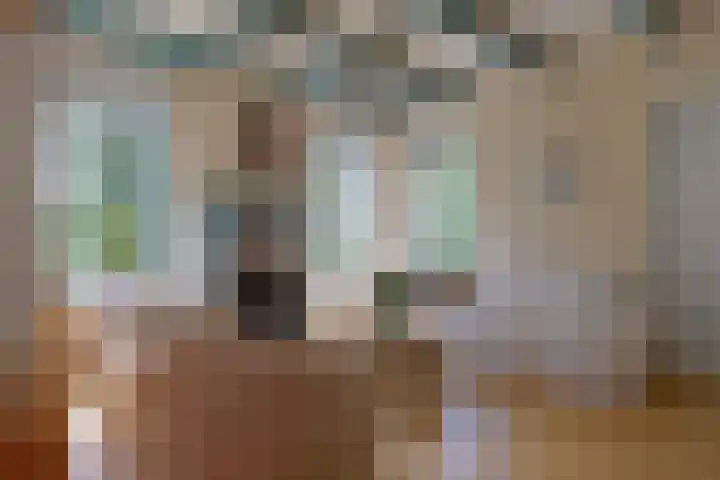 Bolmeer 8 Zevenhuizen thumbnail 8