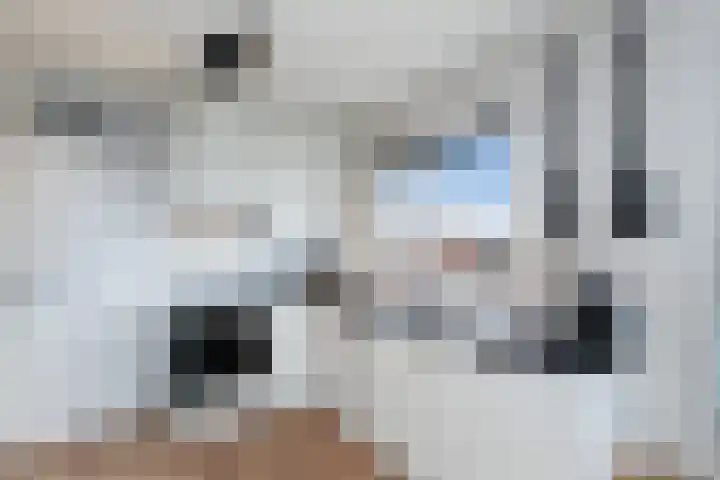 Bolnesserkade 171 Ridderkerk thumbnail 13