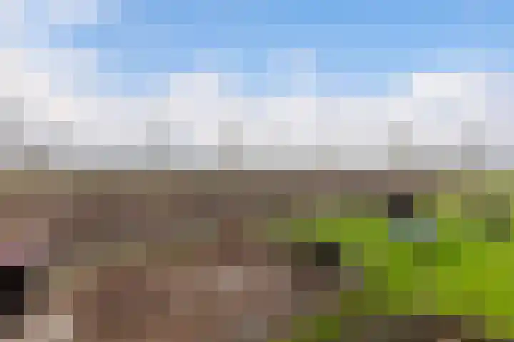 Bolnesserkade 171 Ridderkerk thumbnail 31