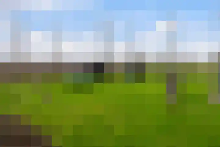 Bolnesserkade 171 Ridderkerk thumbnail 35