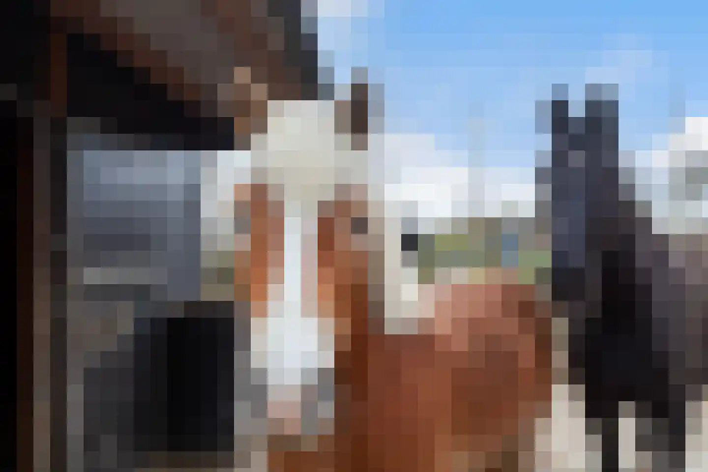 Bolnesserkade 171 Ridderkerk thumbnail 36