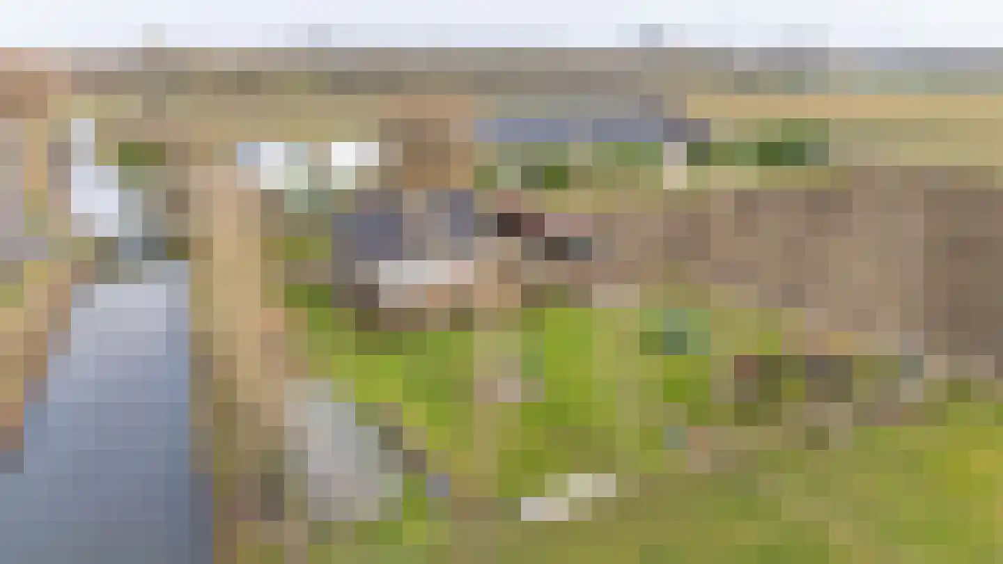 Bolnesserkade 171 Ridderkerk thumbnail 47
