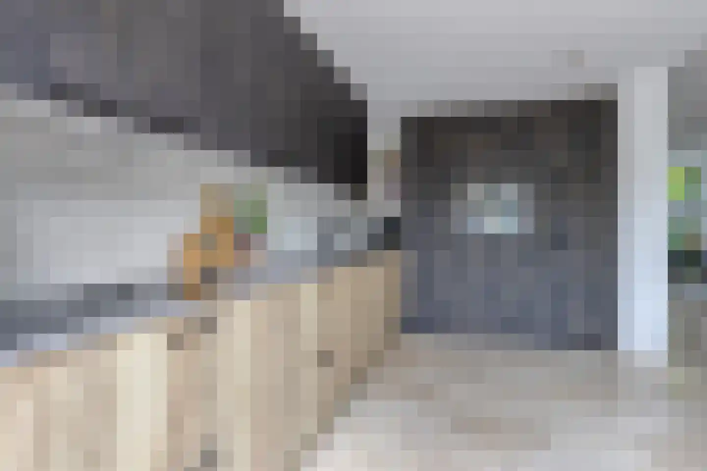 Bolognalaan 3 Eindhoven thumbnail 11