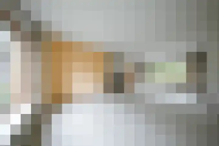 Bolognalaan 8 Eindhoven thumbnail 14