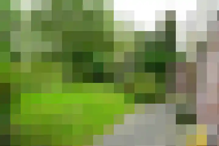 Bolognalaan 8 Eindhoven thumbnail 23