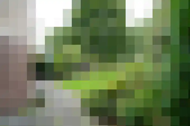 Bolognalaan 8 Eindhoven thumbnail 24