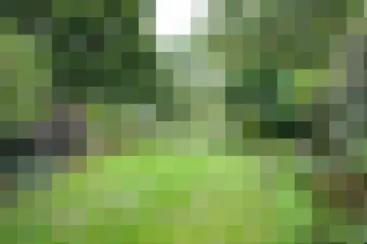 Bolognalaan 8 Eindhoven thumbnail 25