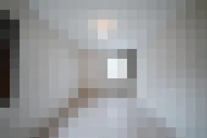 Bolognalaan 8 Eindhoven thumbnail 34