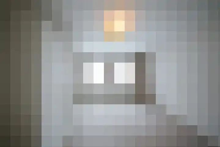 Bolognalaan 8 Eindhoven thumbnail 36