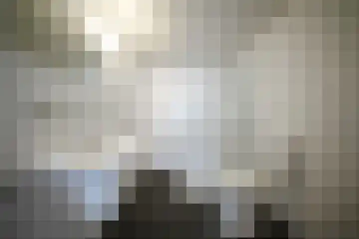 Bolognalaan 8 Eindhoven thumbnail 38