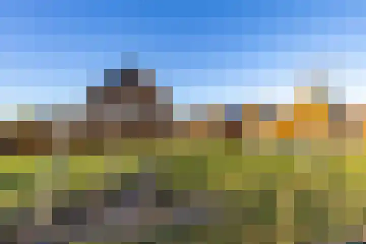 Bolpraam 5 Meerstad thumbnail 18