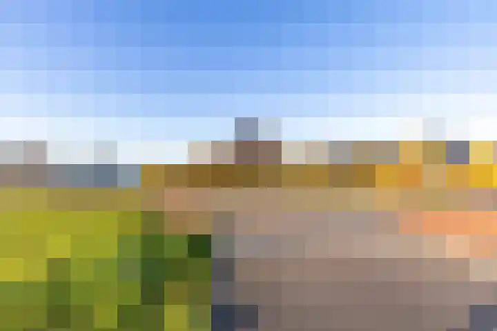 Bolpraam 5 Meerstad thumbnail 20