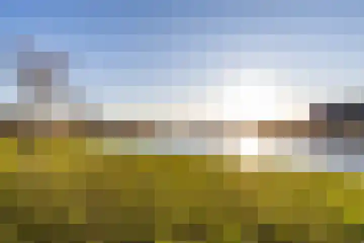 Bolpraam 5 Meerstad thumbnail 21