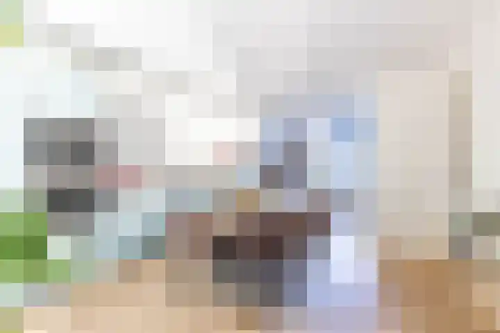 Bolpraam 5 Meerstad thumbnail 27