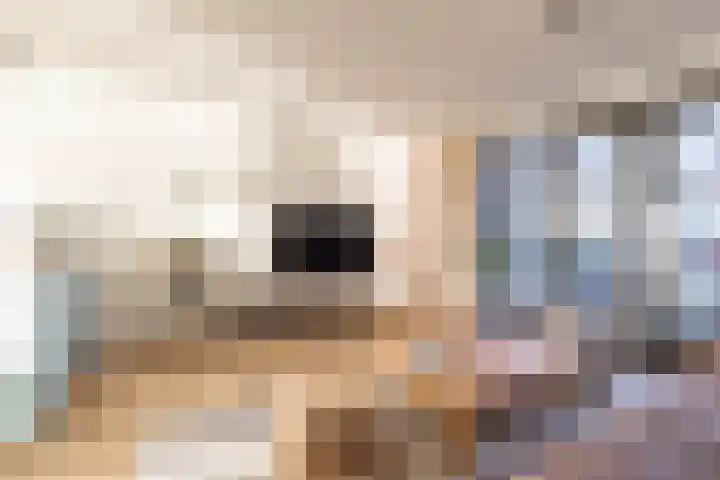 Bolpraam 5 Meerstad thumbnail 35