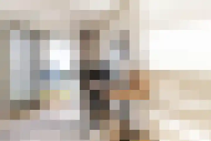 Bolpraam 5 Meerstad thumbnail 50