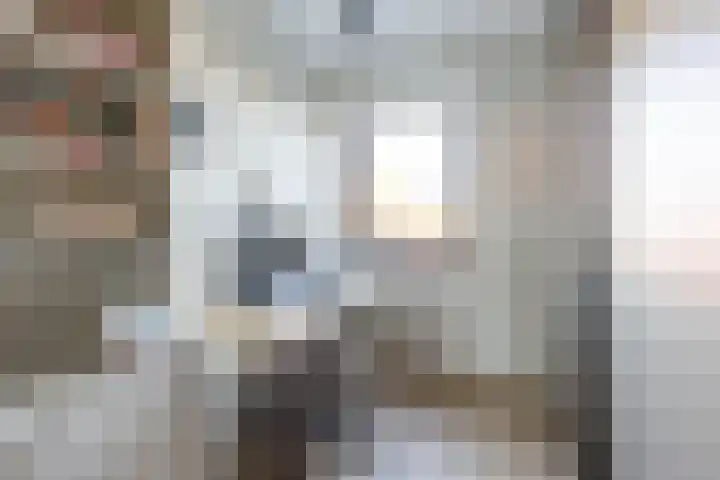 Bolpraam 5 Meerstad thumbnail 56