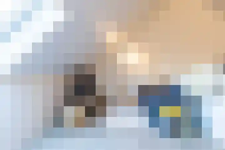 Bolpraam 5 Meerstad thumbnail 59
