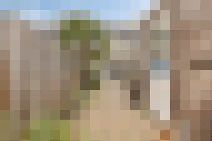 Bolpraamwerf 7 Leiden thumbnail 13
