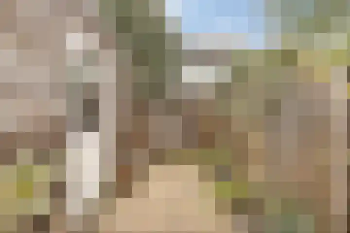 Bolpraamwerf 7 Leiden thumbnail 14