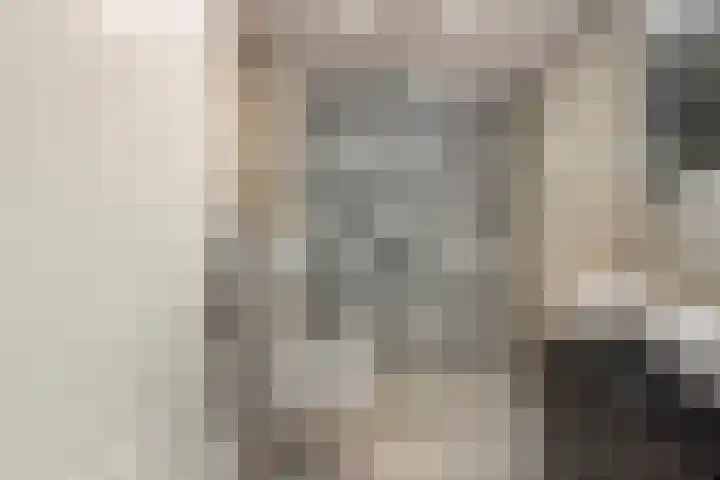 Bolpraamwerf 7 Leiden thumbnail 18