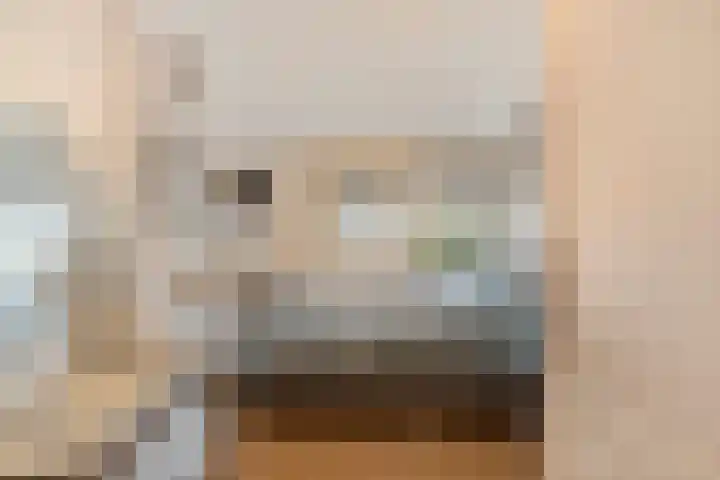 Bolpraamwerf 7 Leiden thumbnail 20