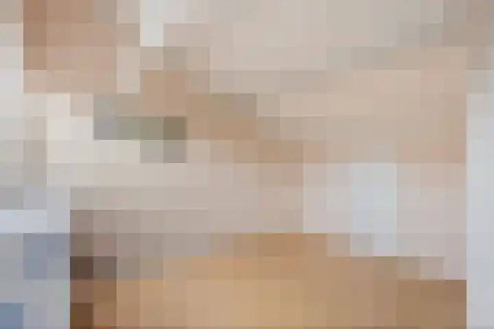 Bolpraamwerf 7 Leiden thumbnail 23
