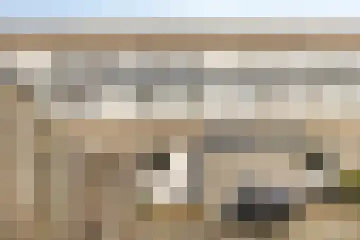 Bolpraamwerf 7 Leiden thumbnail 24