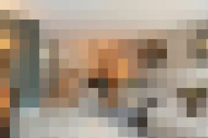 Bolpraamwerf 7 Leiden thumbnail 5