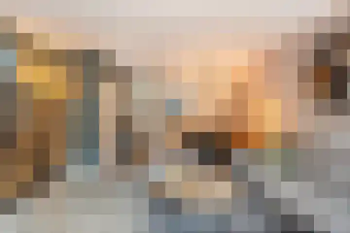 Bolpraamwerf 7 Leiden thumbnail 6