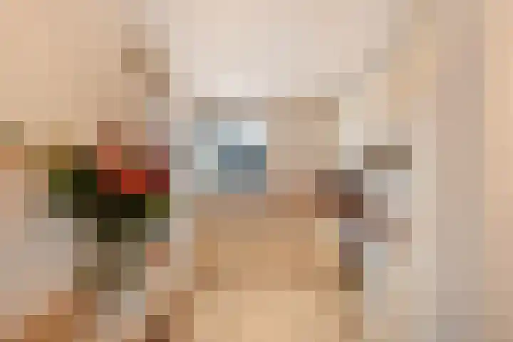 Bolpraamwerf 7 Leiden thumbnail 7