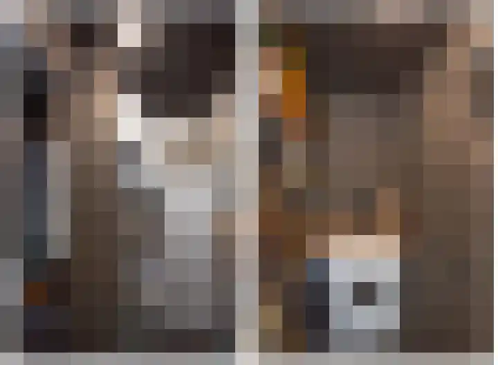 Bolscher 30 Hengevelde thumbnail 13