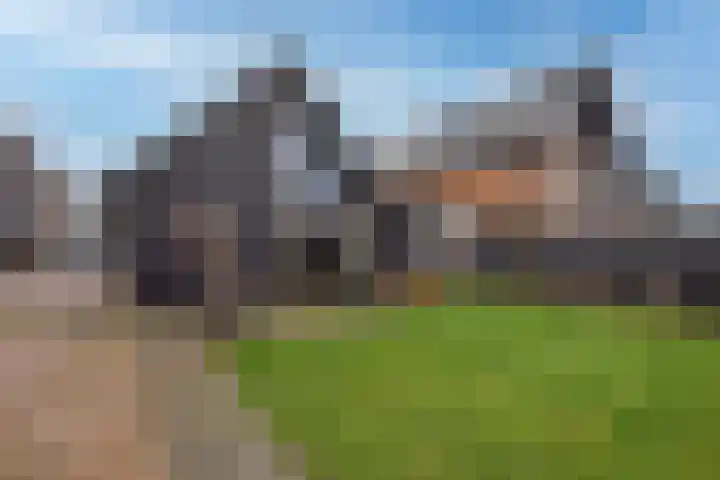 Bolscher 30 Hengevelde thumbnail 30
