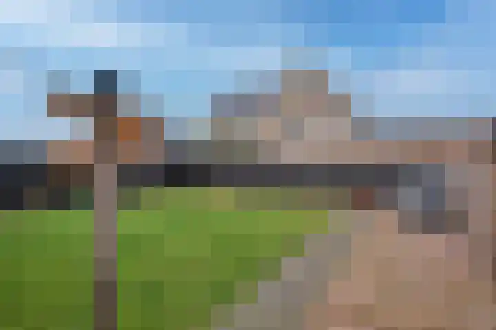 Bolscher 30 Hengevelde thumbnail 32