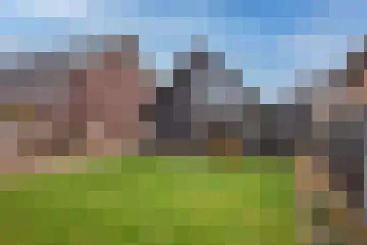 Bolscher 30 Hengevelde thumbnail 4