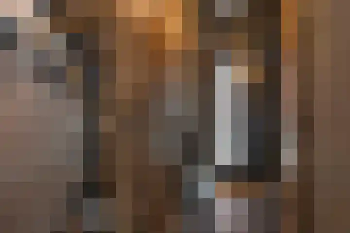 Bolscher 30 Hengevelde thumbnail 8