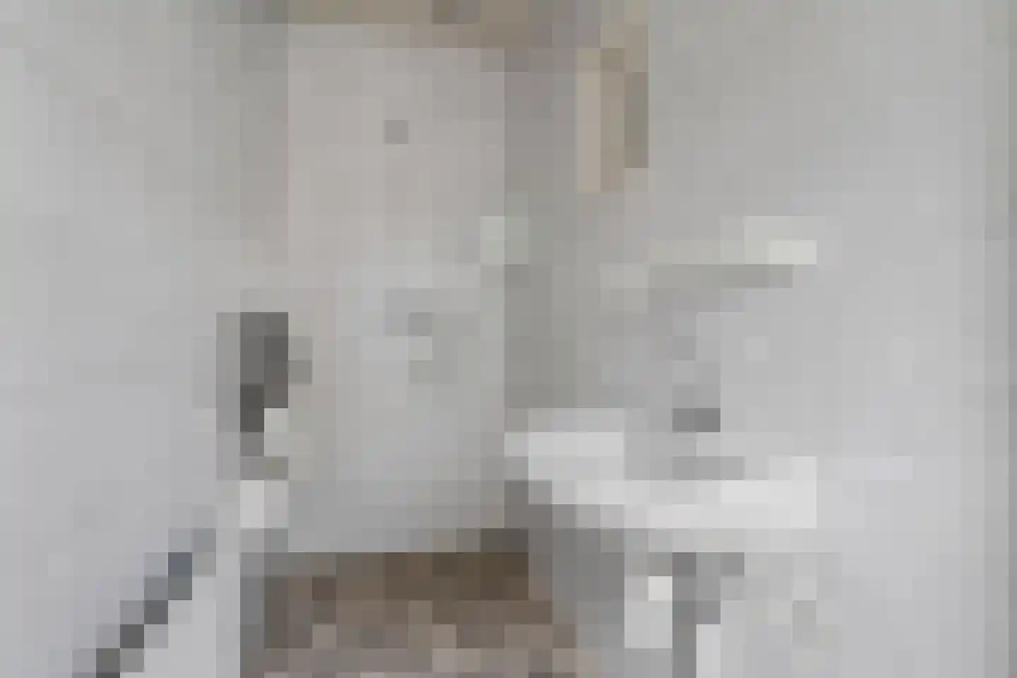 Bolsiusstraat 2 Geldrop thumbnail 12