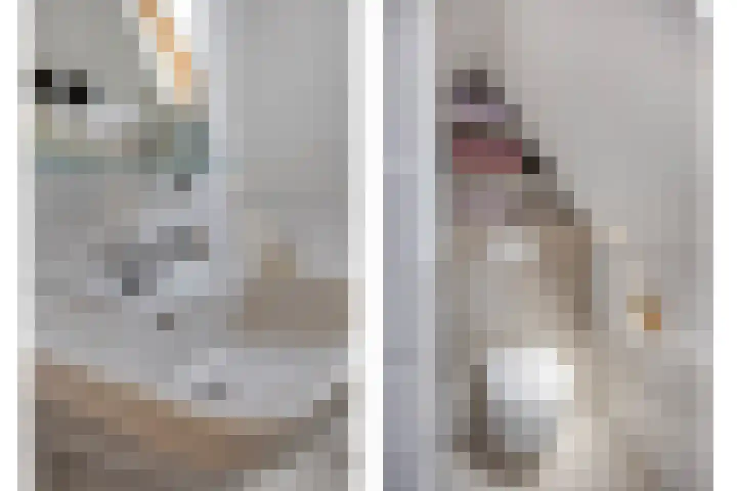 Bolsiusstraat 25 Geldrop thumbnail 25