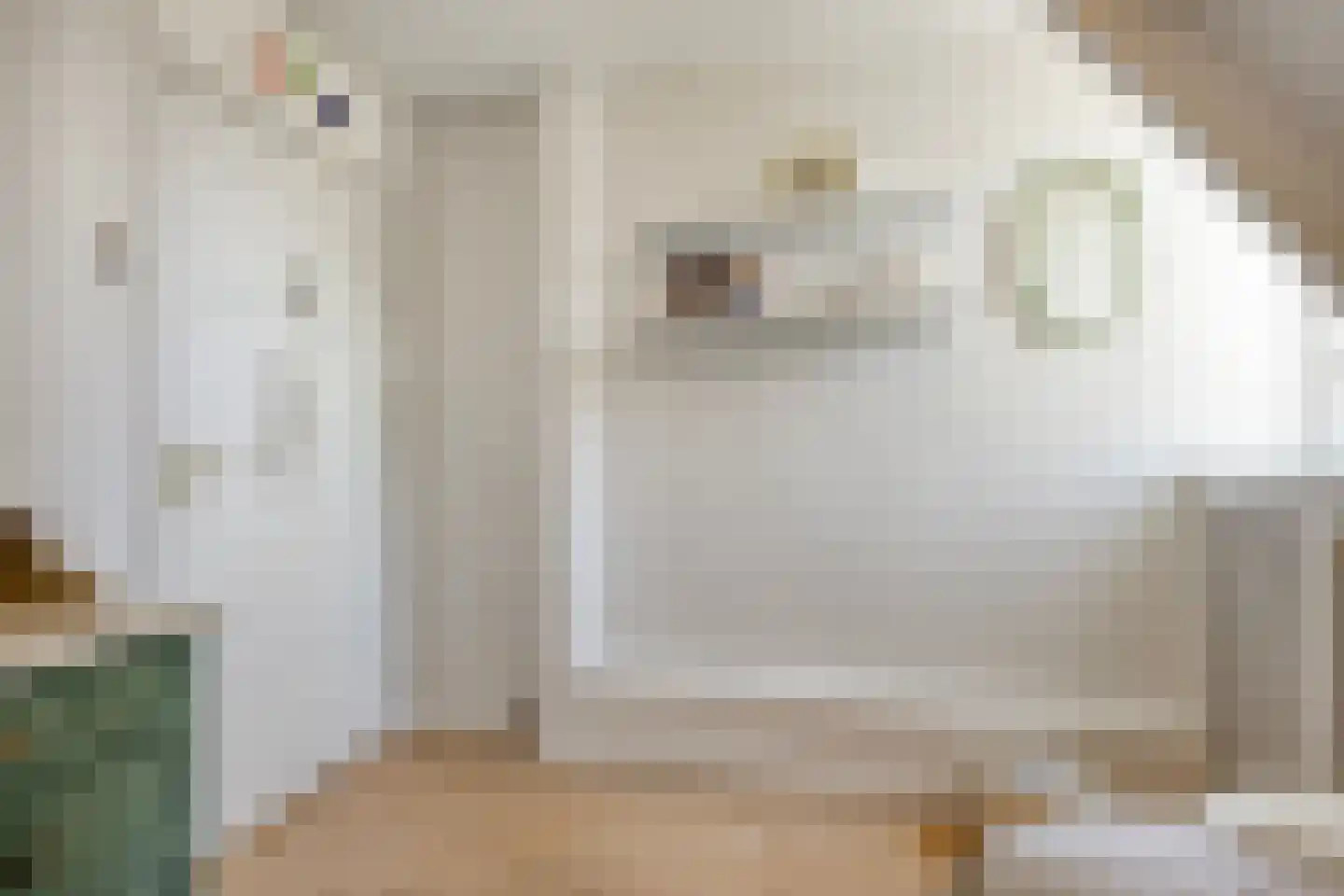 Bolsiusstraat 25 Geldrop thumbnail 28