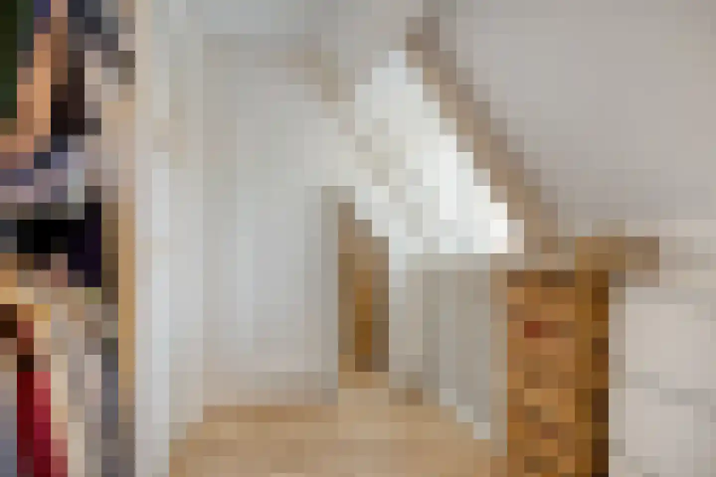 Bolsiusstraat 25 Geldrop thumbnail 30